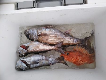 康仁丸・ジギング釣り果